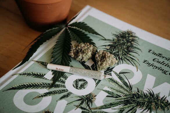 Cannabis und Joint