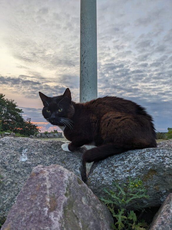 Max genießt die Aussicht vom Aussichtspunkt auf dem Knivsberg.