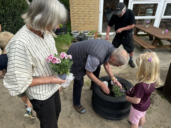 Julies Opa pflanzt Blume ein
