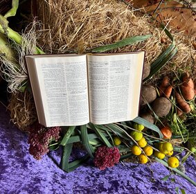 Ein Strohballen ist mit Kartoffeln, Mohrrüben, Porree und einer Bibel dekoriert